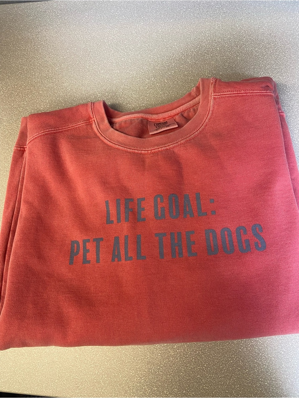 Sweatshirt Life Goal Pet all the Dogs 🐕